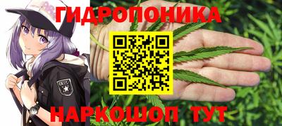 ешки Заволжье