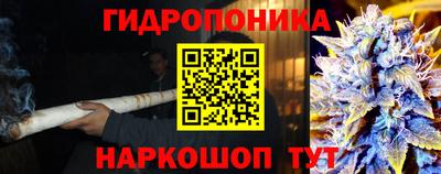 spice Заводоуковск